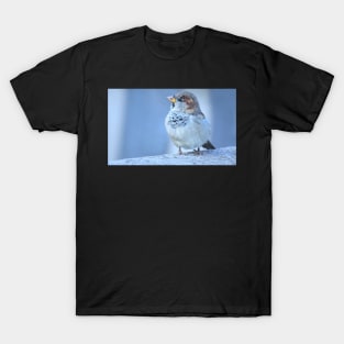 Sparrow T-Shirt